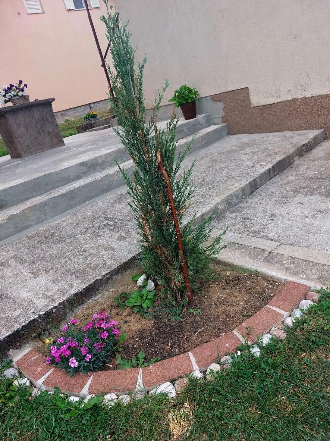 Apartman Rita Perusic Zewnętrze zdjęcie