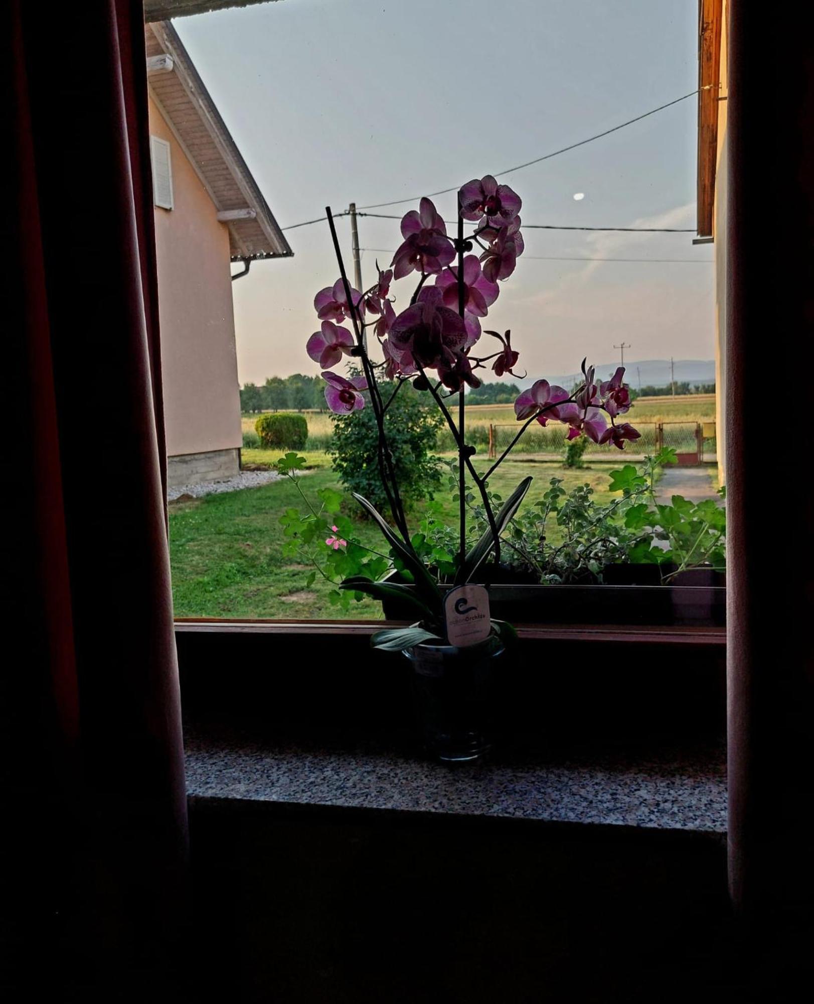 Apartman Rita Perusic Zewnętrze zdjęcie